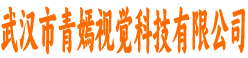 武汉市青嫣视觉科技有限公司
